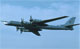 Tupolev Tu-95 Bear