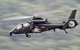 Z-19 helicopter