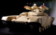 BMPT-72